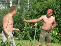 Кропивна історія кропивою