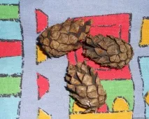Масажний килимок своїми руками своїми