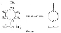 многоядрени