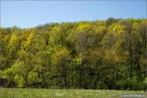 річки