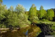 радянського