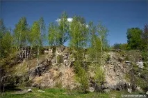 Осетр