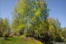 весни