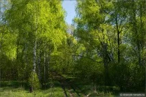 радянського