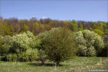 річки