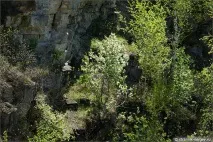 весни