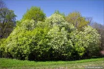 річки