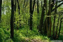 річки