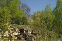 весни