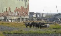Амдерма. Селище прикордонного стану селище