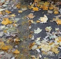 Початківцю скутеристу - Чого побоюватися на дорозі чого