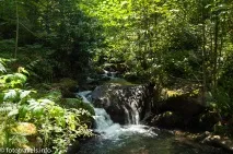 Національний парк Мтіралу, Грузія національний