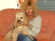 собак