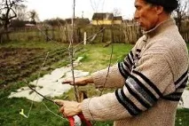 рекомендації
