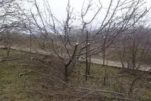терміни