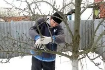 обрізка