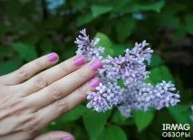 Essie