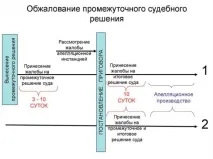 Оскарження рішення суду у цивільній справі порядок дій та зразок скарги на рішення рішення