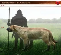 псових