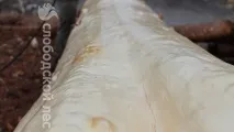 окорка