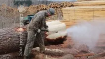колоди