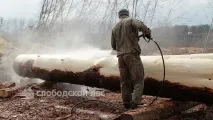 окорка