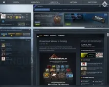 Операція Авангард Поліпшення медалі – eSports авангард