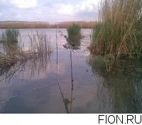 Звіти про рибалку в Міус річка, Ростовська обл. звіти