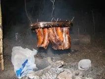 риби