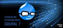 Особливості відображення полів у Drupal 7 та їх налаштування, Vaden Pro полів