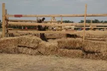 Відгук про відвідування ярмарку «Бахча без хімії» Пономарьових у Ставропольському краї ярмарку