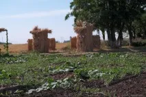 Відгук про відвідування ярмарку «Бахча без хімії» Пономарьових у Ставропольському краї хімії