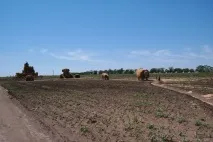 Відгук про відвідування ярмарку «Бахча без хімії» Пономарьових у Ставропольському краї ярмарку