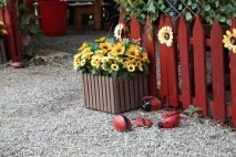 Відгук про відвідування ярмарку «Бахча без хімії» Пономарьових у Ставропольському краї бахча
