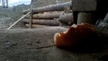 Моє свіже інтерв’ю разів