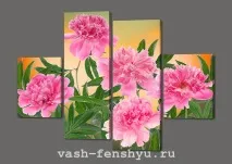 Півонії фен-шуй що означає колір і де краще розмістити в будинку фен-шуй