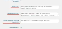 Platinum SEO Pack Правильне настроювання оптимізації вашого блогу platinum