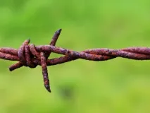 Чому не скасовують візи чому