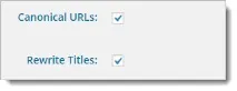 Platinum SEO Pack налаштування плагіна для WordPress сайтів platinum