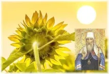 Floarea soarelui” sau instrucțiunile mitropolitului Ioan de Tobolsk, Mitropolia Khanty-Mansiysk