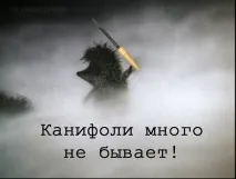 підігрів