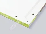 інтер