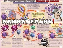 ПІДВИЩЕННЯ ІМУНІТЕТУ ЗАГАЛЬНИЙ І НАБУТИЙ ІМУНІТЕТ, ГІГІЄНА, ХАРЧУВАННЯ, ТРЕНУВАННЯ ТА ЛІКИ загальний
