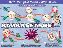 ПІДВИЩЕННЯ ІМУНІТЕТУ ЗАГАЛЬНИЙ І НАБУТИЙ ІМУНІТЕТ, ГІГІЄНА, ХАРЧУВАННЯ, ТРЕНУВАННЯ ТА ЛІКИ підвищення