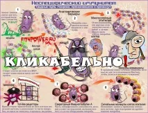 ПІДВИЩЕННЯ ІМУНІТЕТУ ЗАГАЛЬНИЙ І НАБУТИЙ ІМУНІТЕТ, ГІГІЄНА, ХАРЧУВАННЯ, ТРЕНУВАННЯ ТА ЛІКИ підвищення