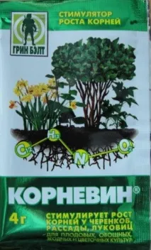 Помідори в теплиці в Сибіру, вирощування тепличних томатів своїми руками тепличних