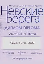 професионален