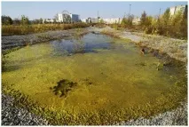 Рідкісні фотографії Чорнобильської АЕС чорнобильської