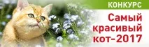 Найкрасивіший кіт-2017 відвідування