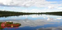 Північна природа дуже